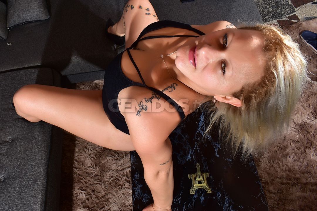 Solcito 