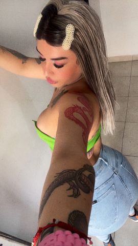 Mimosa