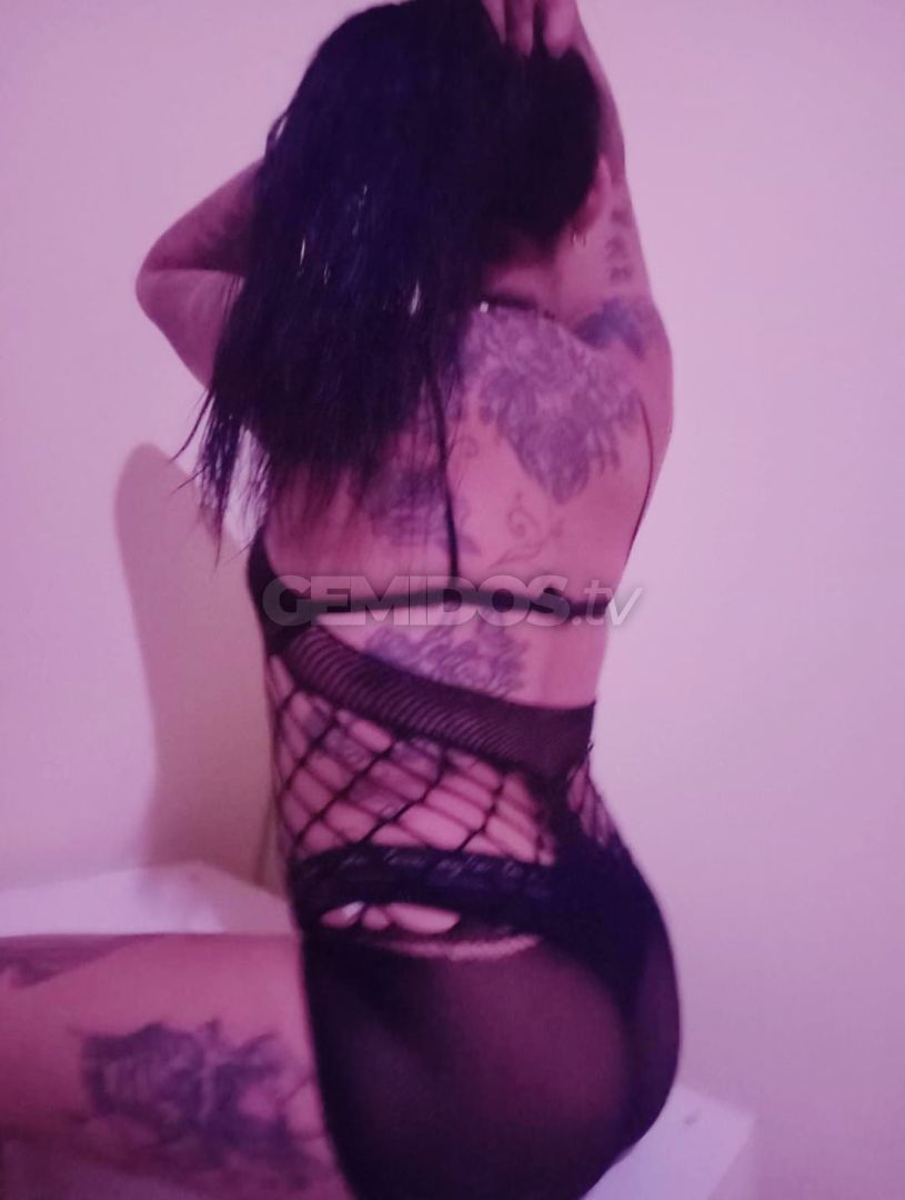Gatitas en Once