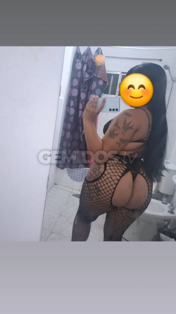Gatitas en Once