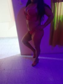 Gatitas en Once