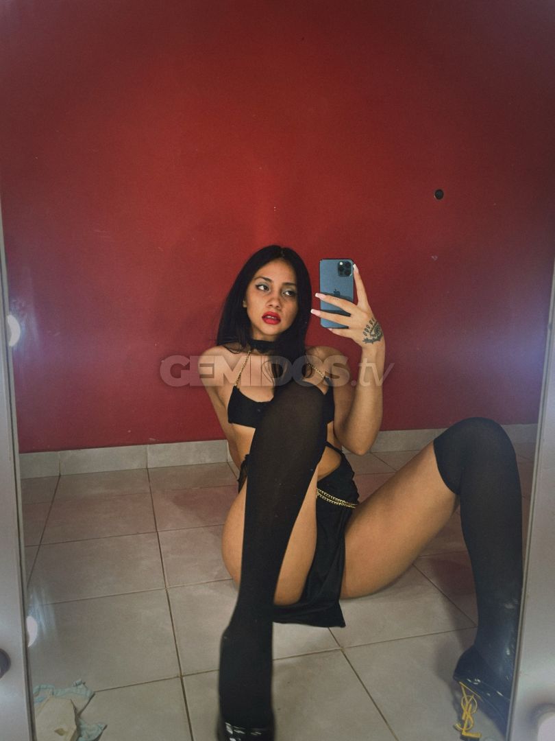 Moli Vip