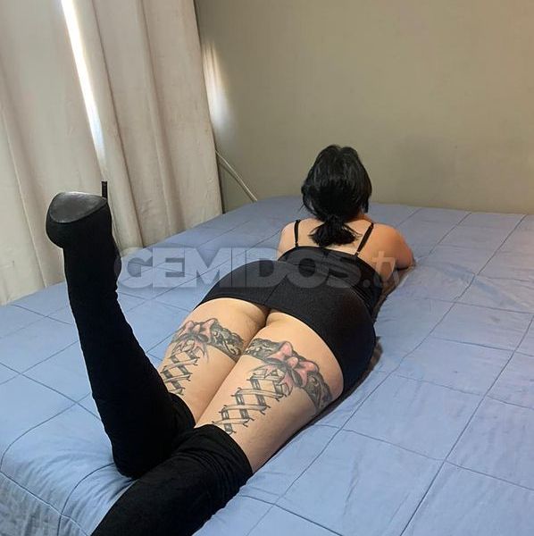 Soy Zamira una rica escort apenas iniciando quiero pasarla bien soy una joven de 25 años con una figura riquísima de piel blanca tatuada una rica combinación de ternura y belleza ardiente en mi lugar ♥ discreta con rico servicio de novios te encantará a gendarme seré tu novia sexy que te complacerá quieres probar llámame para pasar un rato muy caliente estoy disponible