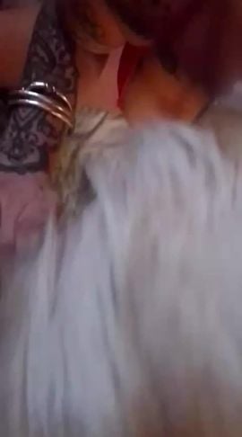 Gringa Guerrera