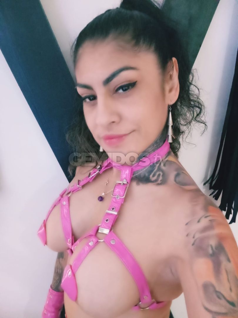 Lolo Sado