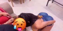 Pilar 