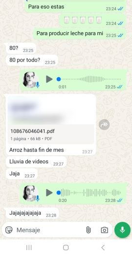 Samanta
