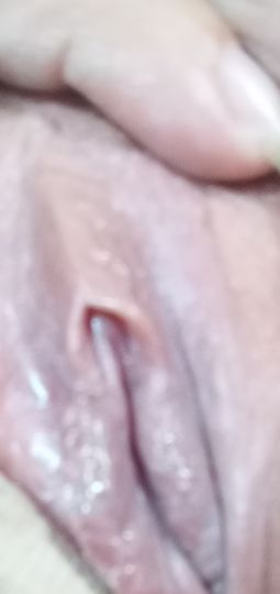 Griselda