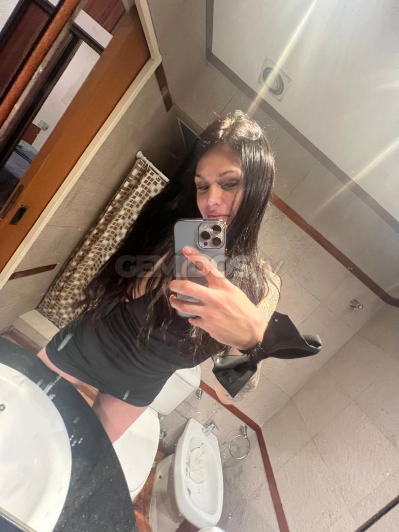 Alexa 
