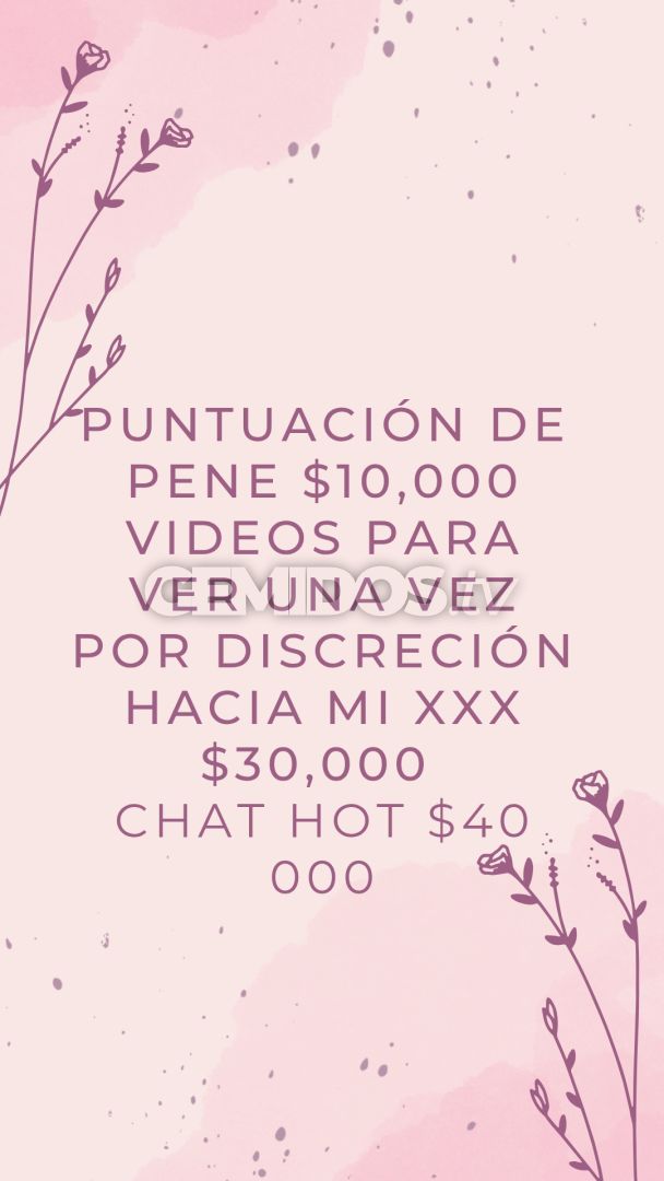 Anne Vip