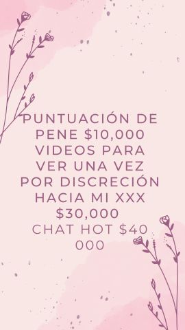 Anne Vip