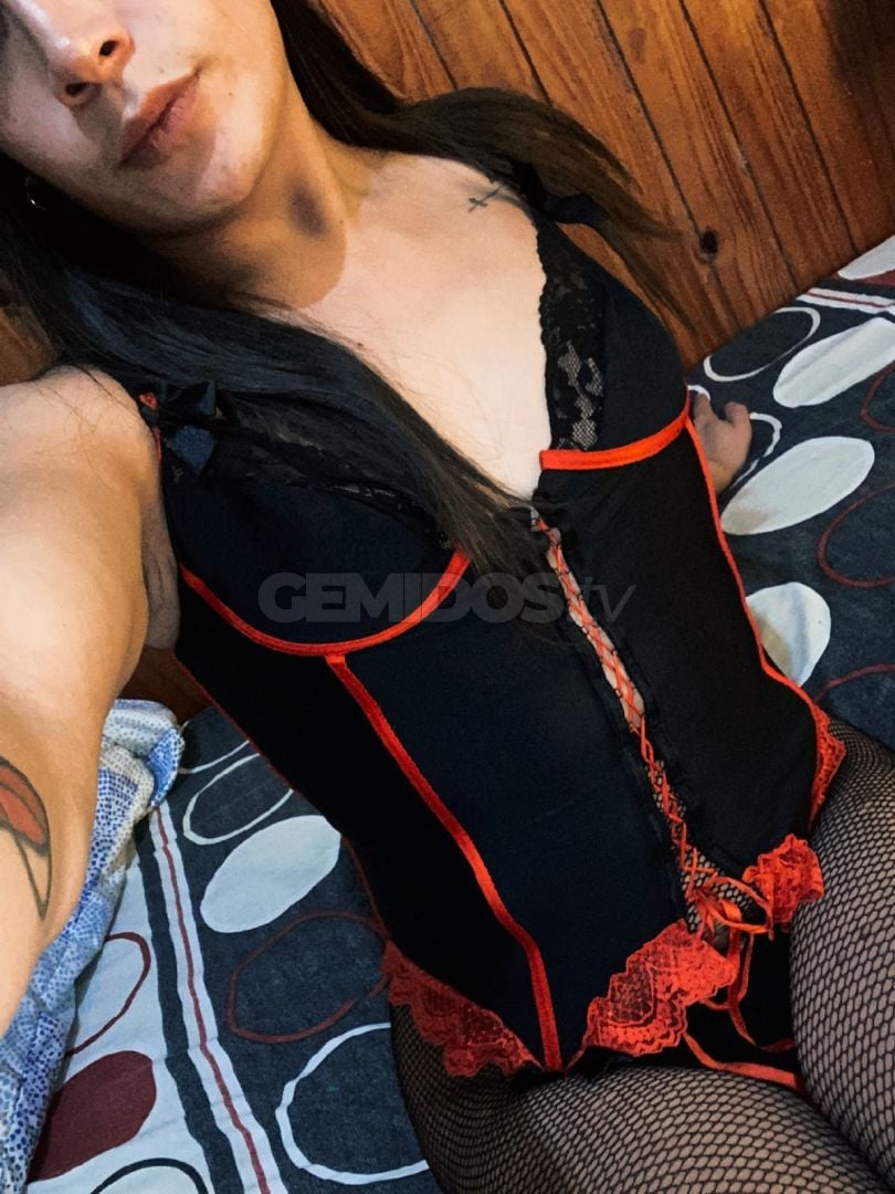Barby Trans 