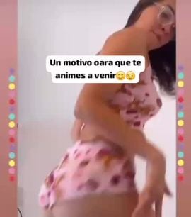Stefy