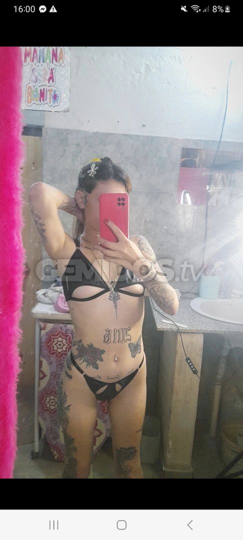 Delfina 