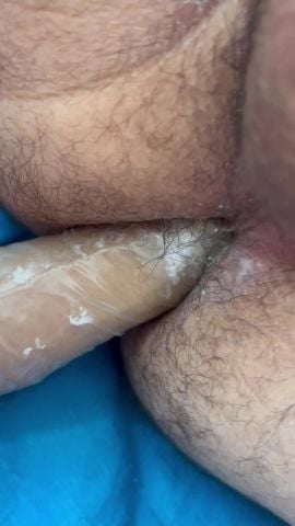 Leonella