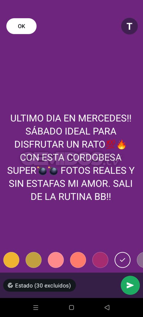 Magui