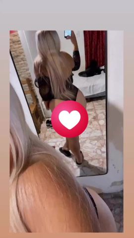 Barbi
