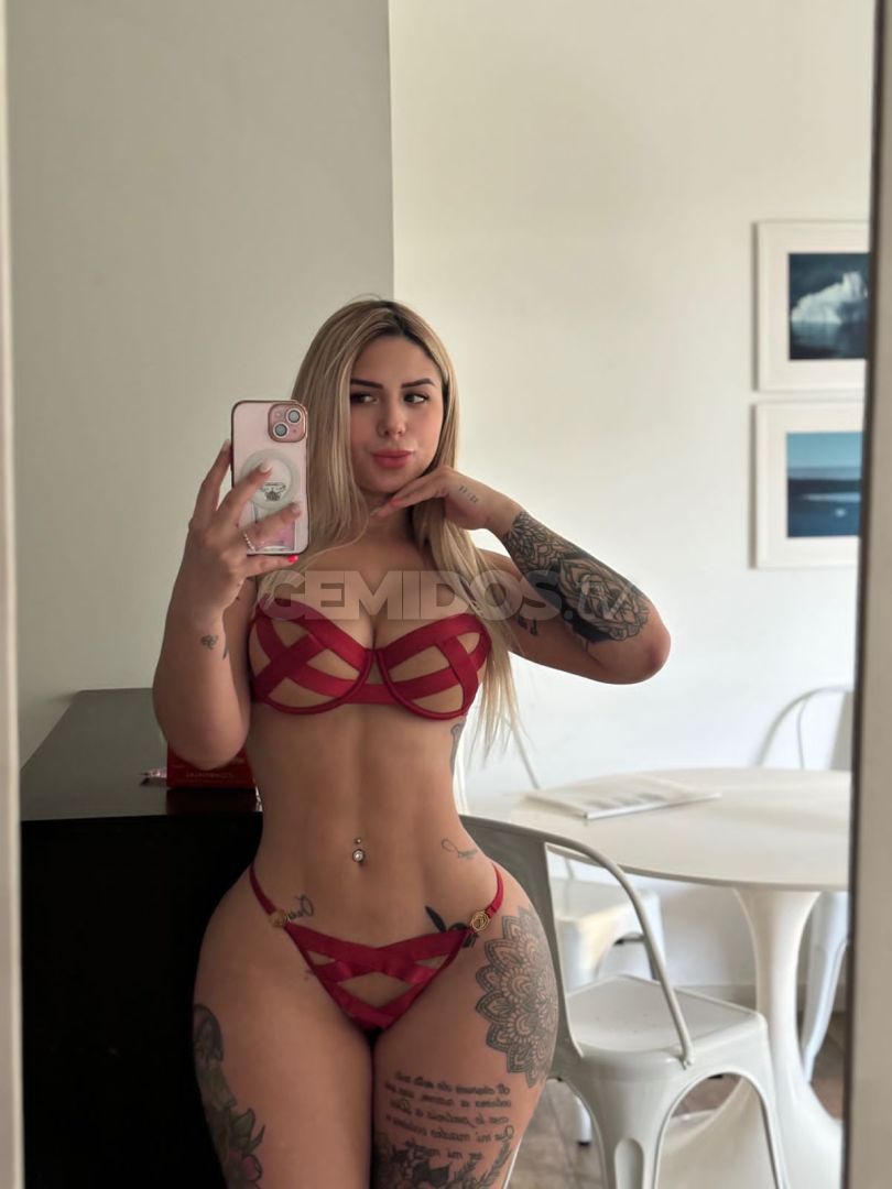 Solcito