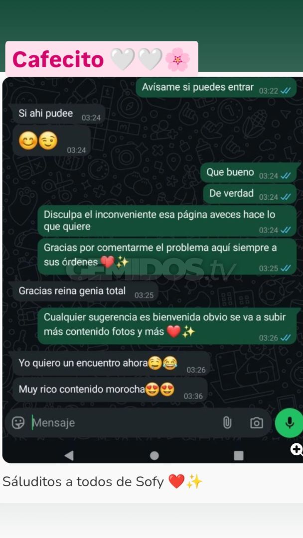 Sofy 