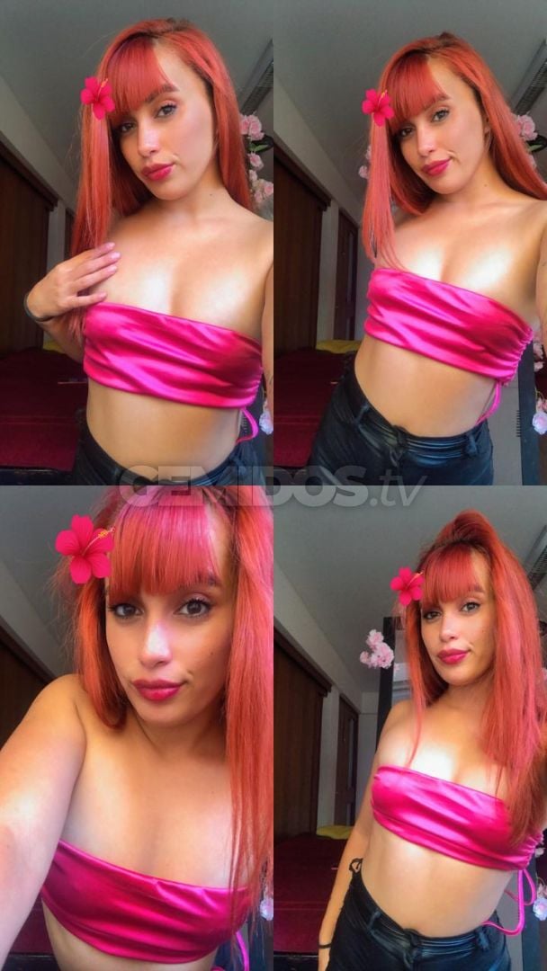 Brisa