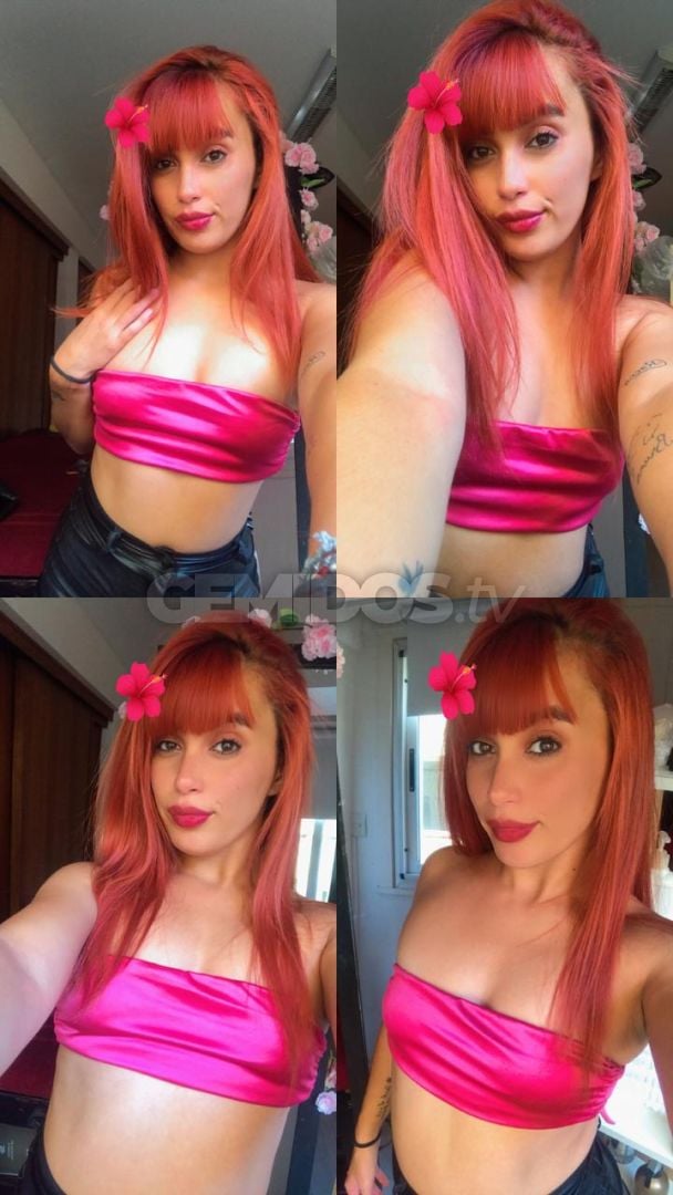 Brisa