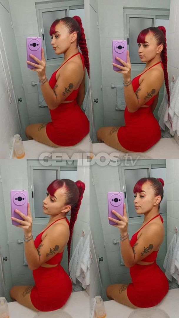 Brisa