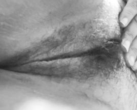 Dulciinea