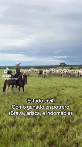 Luz