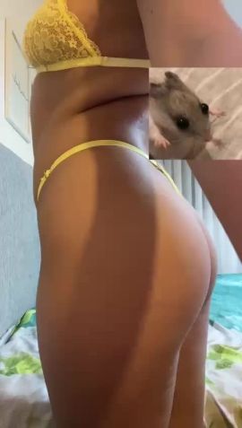 Nina 
