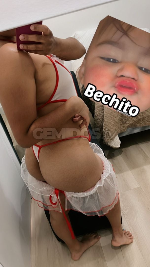 Angelica