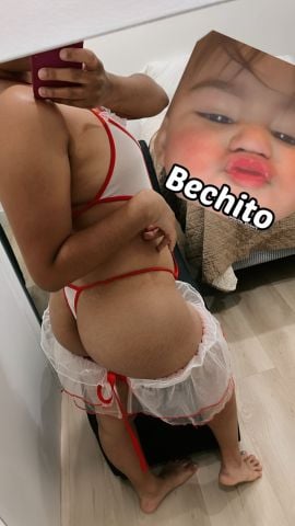 Angelica