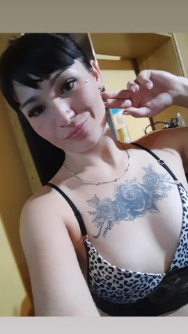 solcito
