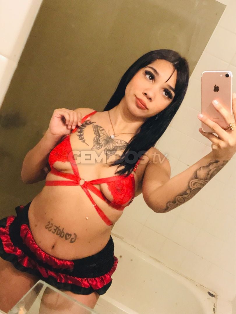 Lucia vip 
