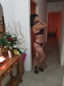 Avis