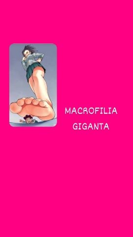 Fiorella
