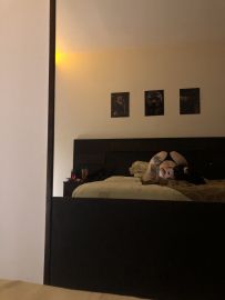 Estrellita