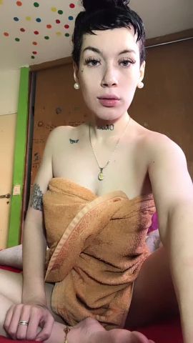 Estrellita