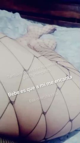 Ailu