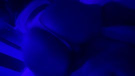 Rocio