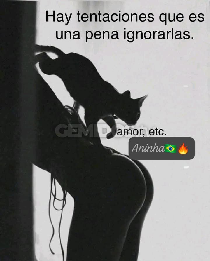 Aninha Brasil 