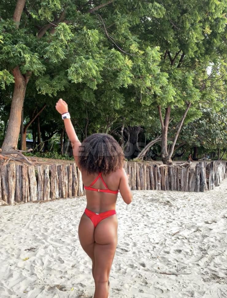 Aninha Brasil 