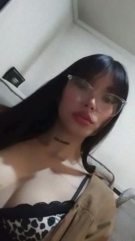 Pily