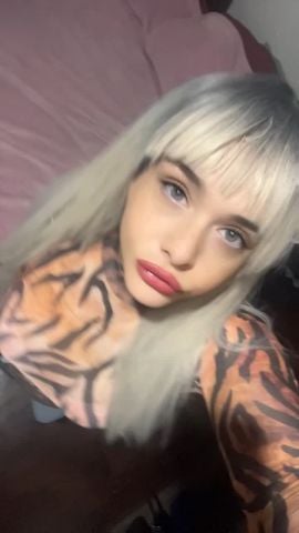 Mimosa