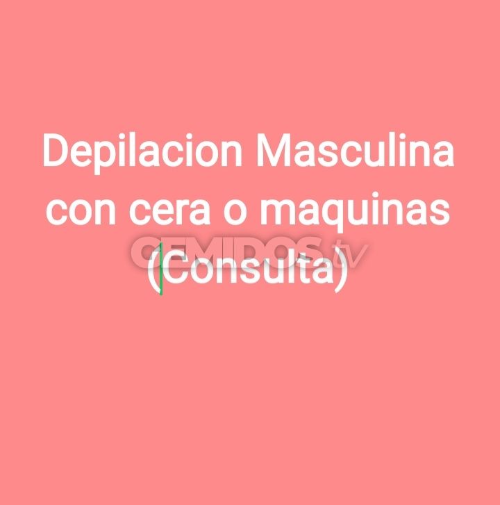 Paloma 