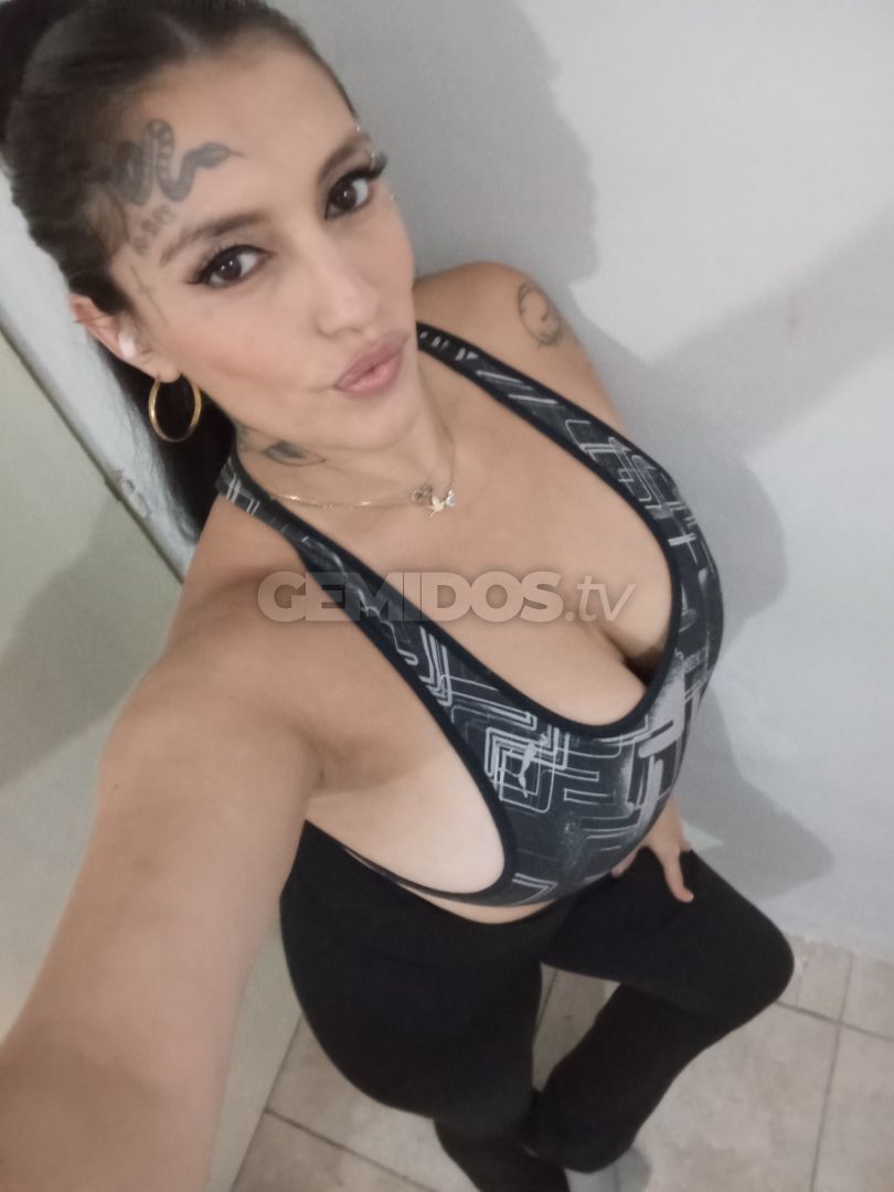 Sheshu