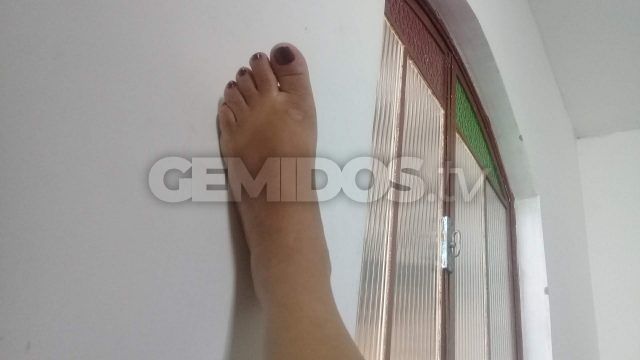 Estela Pimenta