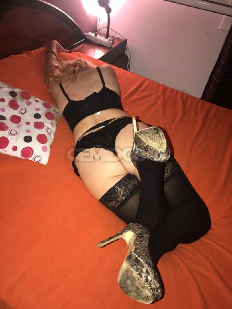 Sophie English Rose