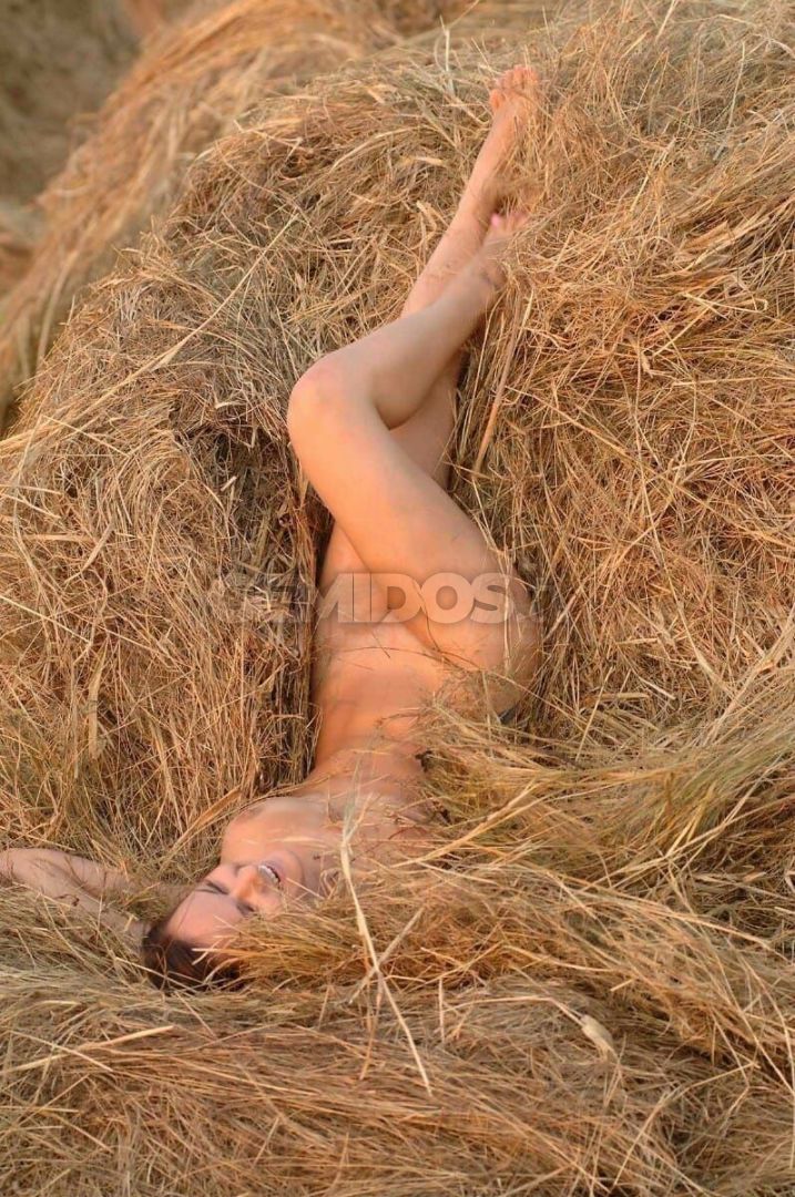 Sirena
