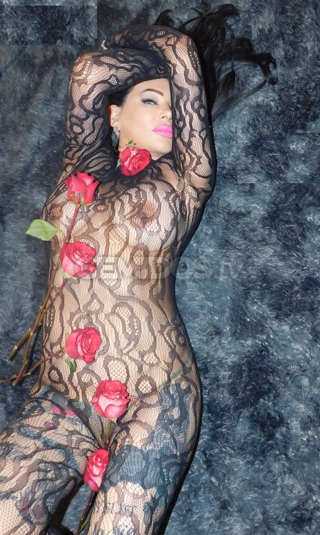 Dra. Perla Lopez