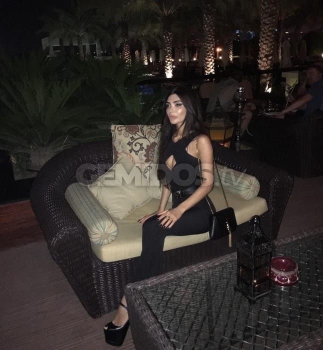 Lana LapdogHeaven